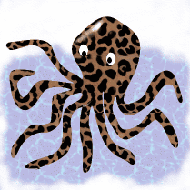 Octopus