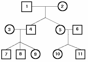 Solution family tree.