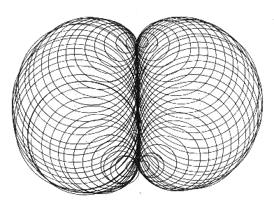 Nephroid.