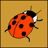 problem Icon