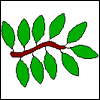 problem Icon