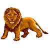 problem Icon