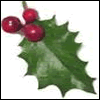 problem Icon