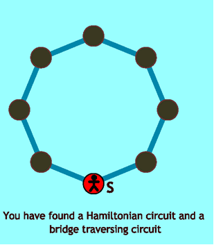 A Hamiltonian circuit