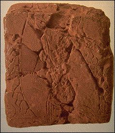 Clay Tablet from Ga-Sur