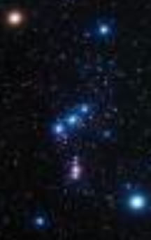 Orion principle stars