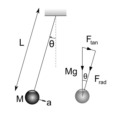 Diagram of simple pendulum