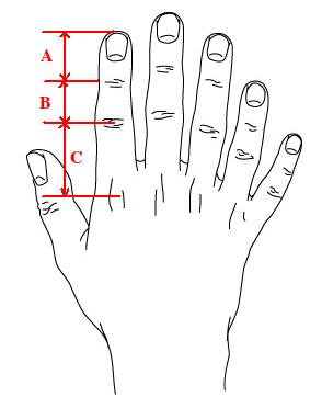 The Golden Ratio : nrich.maths.org