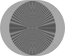 Moire patterning of two sets of concentric circles