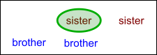 Brothers and sisters