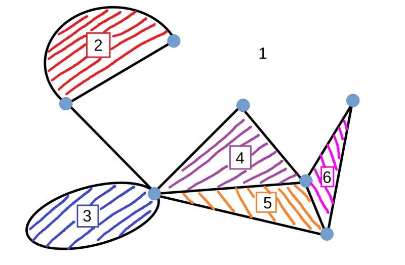 Euler meets Schlegel