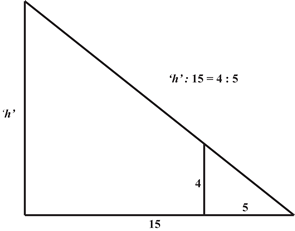 The Development of Algebra - 1