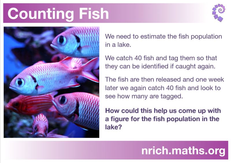 Counting Fish Poster