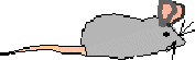 Delia's routes