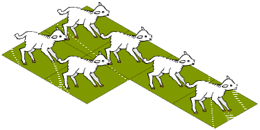 Fencing Lambs
