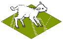 Fencing Lambs
