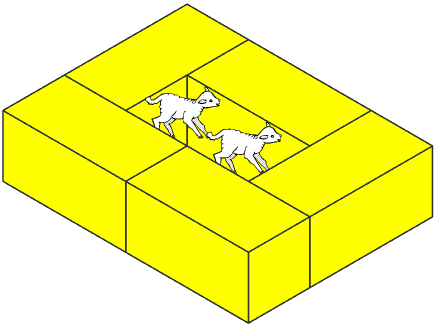 Fencing Lambs