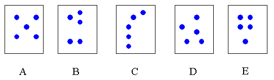 Number Sense Series: Developing Early Number Sense