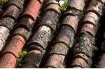 Tiles on a roof