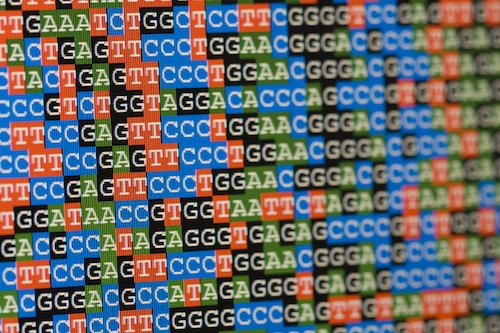 genetic sequences crossword