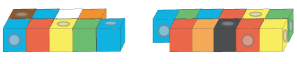 Nine blocks arranged as a row of four on the top and a row of five on the bottom. Eleven blocks arranged as a row of six on the top and a row of five on the bottom.