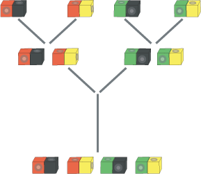 tree diagram