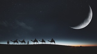 Photo of camels walking in the desert