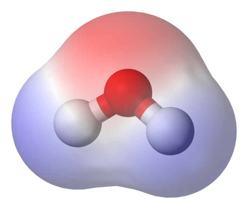 The amazing properties of water