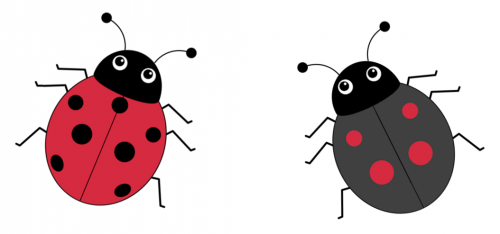A red ladybird with 7 black spots and a black ladybird with 4 red spots.