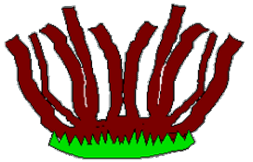 Cartoon image of a "Deca Tree" with 10 trunks.