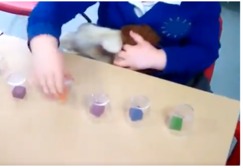 Counting Collections in the Early Years