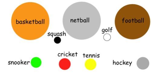 Sports Equipment