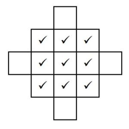 A 3 by 3 grid with ticks in each cell, and 4 extra cells added at the centre of each edge.