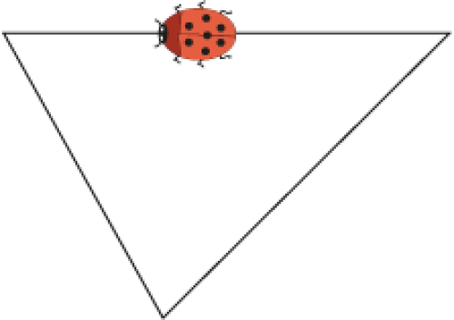 A triangle with all three sides of different lengths. There is a ladybird on the top side.