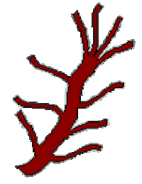 Cartoon image of a trunk with 10 branches.