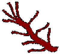 Cartoon image of a branch with 10 twigs.