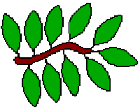 Cartoon image of a twig with 10 leaves.
