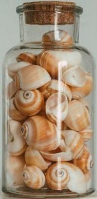 A transparent jar full of light peach-coloured shells.