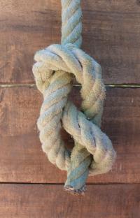 A rope tied in a knot.