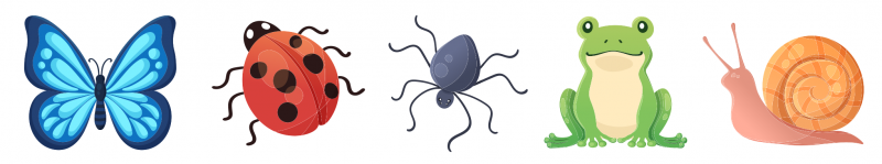 A butterfly, ladybird, arachnid, frog, and snail.