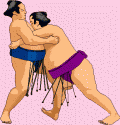 Sumo