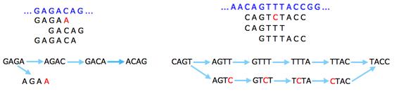 Solving the Genome Puzzle