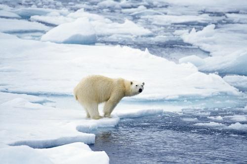 Maths and Climate Change: the Melting Arctic