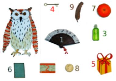 Owl's Packing List A drawing of an owl, with an example of a packing list with numbers and pictures.