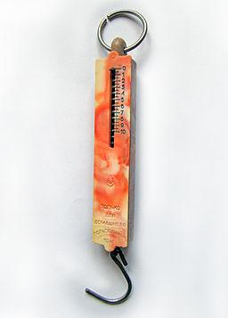 The Spring Scale An orange Newton meter.