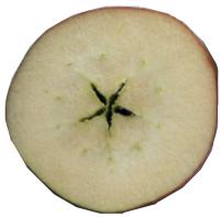 Fruits and vegetables