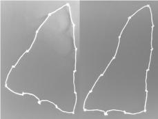 A different look at Polygons