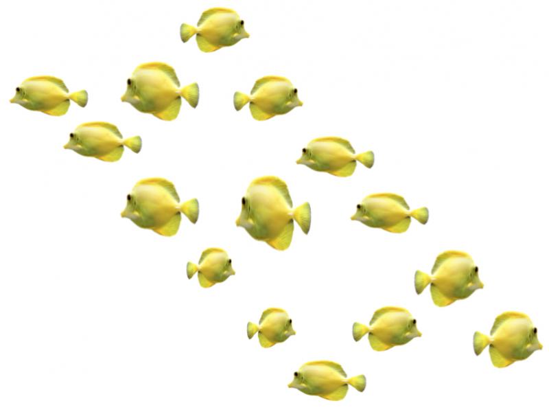 CUP HOW WOULD YOU COUNT?