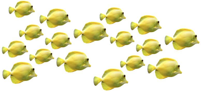 CUP HOW WOULD YOU COUNT?