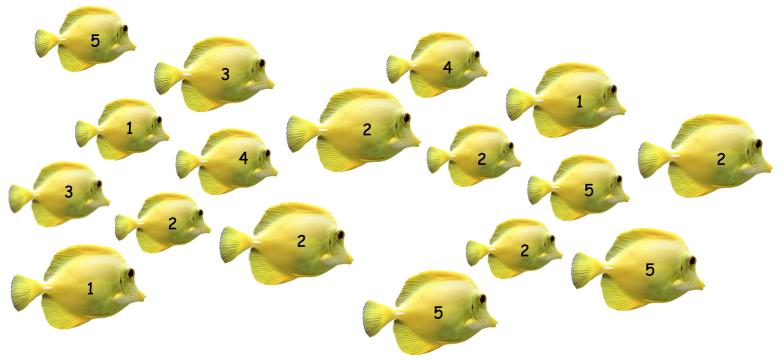 CUP HOW WOULD YOU COUNT?